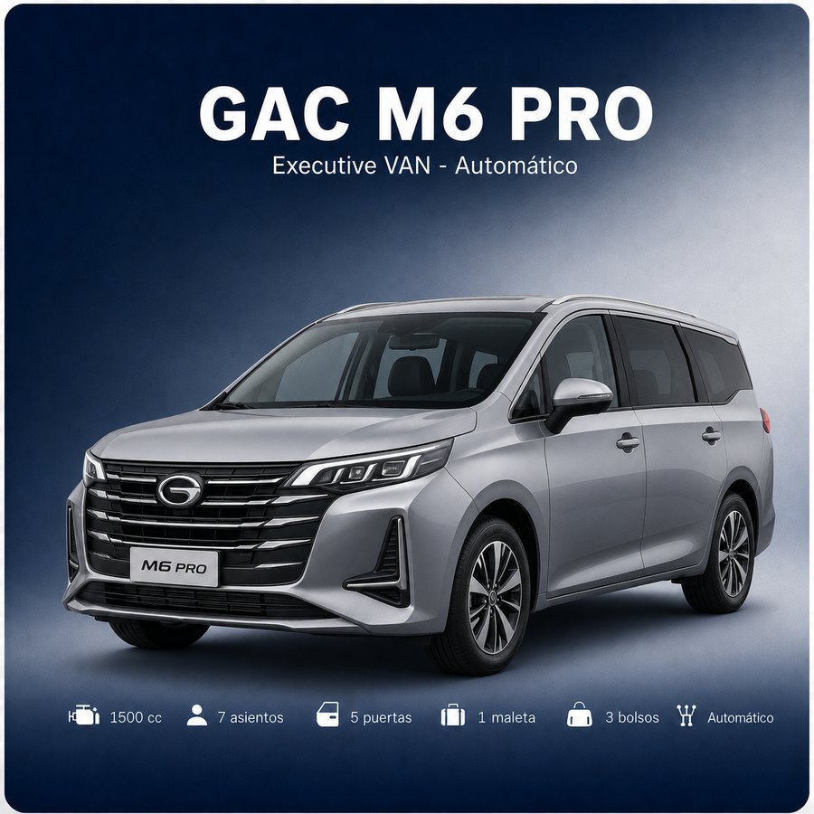 Executive Van — Hasta 7 ocupantes · Automático